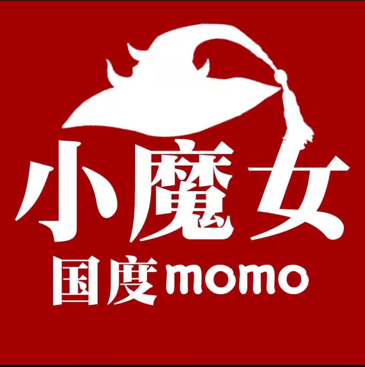 Little Witch Kingdom